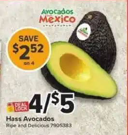 Avocados Mexico Hass Avocados