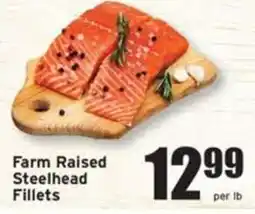 Ray's Food Farm Raised Steelhead Fillets offer