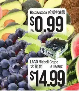 Hmart Lago niabell grape offer
