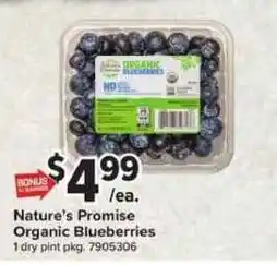 Giant Food Nature's Promise Organic Blueberries offer