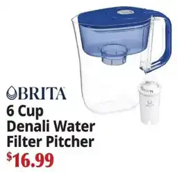 Ocean State Job Lot Brita 6 cup denali water filter pitcher offer