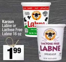 Super King Markets Karoun Labne or Lactose Free Labne offer