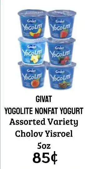Givat yogolite nonfat yogurt