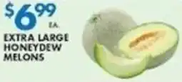Associated Extra large honeydew melons offer
