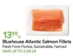 Publix Bluehouse Atlantic Salmon Fillets offer
