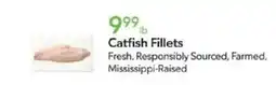 Publix Catfish Fillets offer