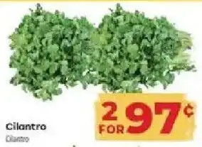 Supermercado El Rancho Cilantro offer