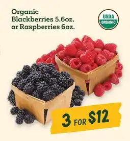 Sprouts Farmers Market Organic Blackberries 5.6oz. or Raspberries 6oz offer