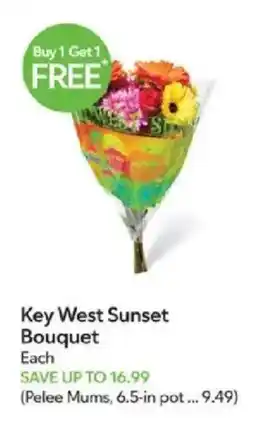 Publix Key West Sunset Bouquet offer