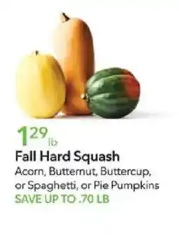 Publix Fall Hard Squash offer