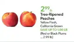 Publix Tree-Ripened Peaches offer