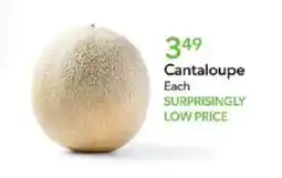 Publix Cantaloupe offer