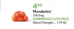 Publix Mandarins offer