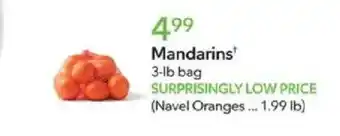 Publix Mandarins offer