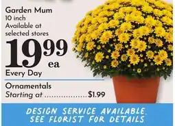 Pavilions Garden Mum offer