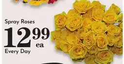 Pavilions Spray Roses offer