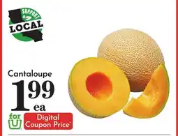 Pavilions Cantaloupe offer