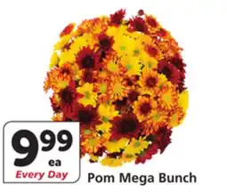 Albertsons Pom Mega Bunch offer