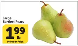 Albertsons Large Bartlett Pears offer