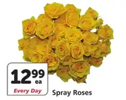 Vons Spray Roses offer