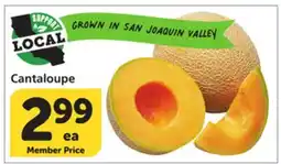 Vons Cantaloupe offer