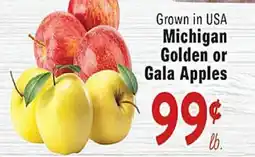 Rio Valley Market Michigan Golden or Gala Apples offer