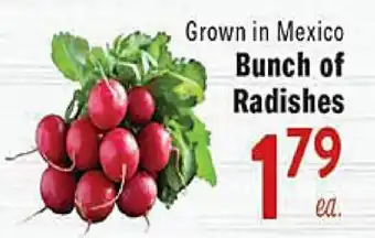 Rio Valley Market Bunch of Radishes offer