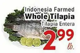 Rio Valley Market Indonesia Farmed Whole Tilapia offer