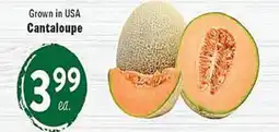 Rio Valley Market Cantaloupe offer