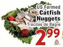 Rio Valley Market US Farm Catfish Nuggets offer