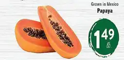 Rio Valley Market Papaya offer