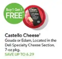 Publix Castello Cheese offer