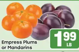 Tony’s Fresh Market Empress Plums or Mandarins offer