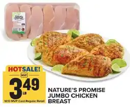 Food Lion Nature's Promise Jumbo Chicken Breast offer
