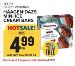 Food Lion Haagen-Dazs mini ice cream bars offer