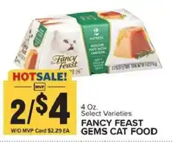 Food Lion Fancy Feast Gems Cat Food offer