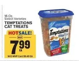 Food Lion Temptations cat treats offer