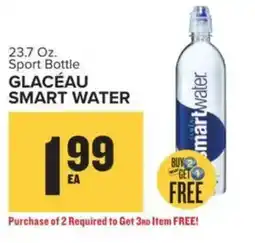 Food Lion Glacéau smart water offer