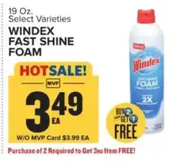 Food Lion Windex fast shine foam offer