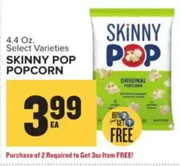 Food Lion Skinny Pop Popcorn offer