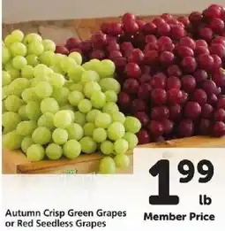 Safeway Autumn Crisp Green Grapes or Red Seedless Grapes offer