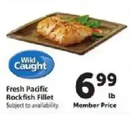 Safeway Wild Caught Fresh Pacific Rockfish Fillet offer