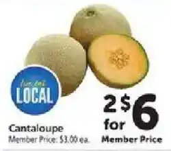 Safeway Cantaloupe offer