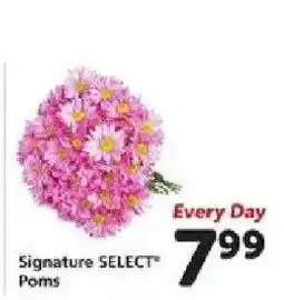 Safeway Signature Select Poms offer