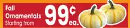 Jewel-Osco Fall Ornamentals offer