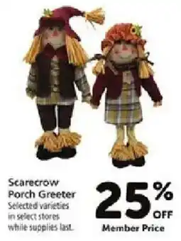 Safeway Scarecrow Porch Greeter offer