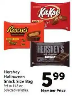 Safeway Hershey Halloween Snack Size Bag offer