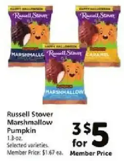 Safeway Russell Stover Marshmallow Pumpkin offer