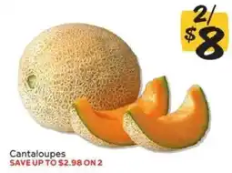 Winn Dixie Cantaloupes offer