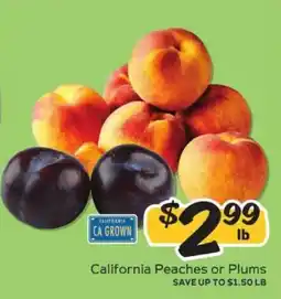Winn Dixie California Peaches or Plums offer